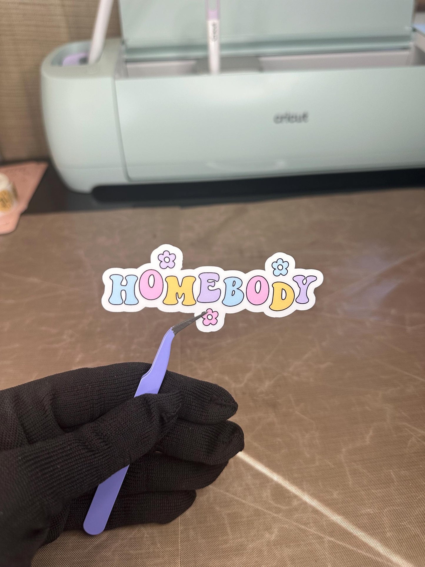 Homebody Sticker | Bookish Stickers | Kindle Accessories